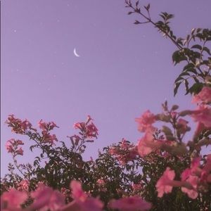 Meet your Posher, Lea